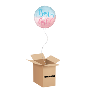 HeliumKing Balónový box - Baby Shower Boy or Girl ?