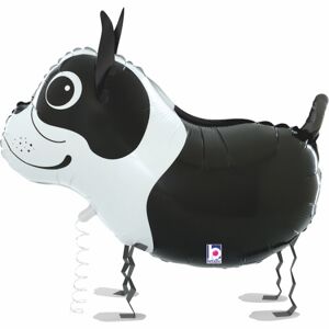 Balónik chodiaci Boston Terrier 48 cm
