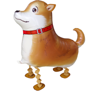 Balónik CHODIACI Shiba-Inu