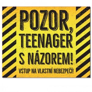 Ceduľka na dvere „Teenager s názorem“