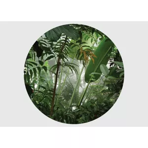 Samolepiaca vliesová fototapeta na stenu Dotyk tropického lístia | 70 x 70 cm | CR 3213