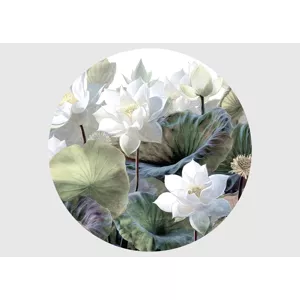 Samolepiaca vliesová fototapeta na stenu Pokojné lotosy | 70 x 70 cm | CR 3234
