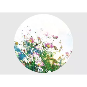 Samolepiaca vliesová fototapeta na stenu Divoké kvety | 140 x 140 cm | CR 3301