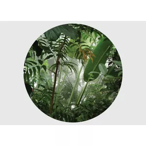 Samolepiaca vliesová fototapeta na stenu Dotyk tropického lístia | 140 x 140 cm | CR 3313