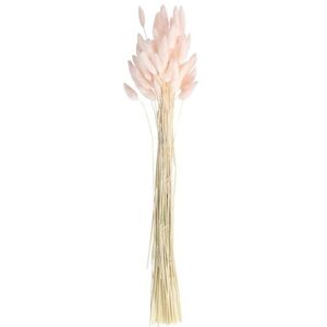 Dekoračná tráva Zajačie chvostíky svetlo ružové 65 cm, 20 ks