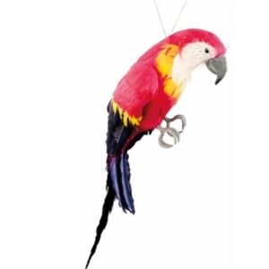 Papagáj dekoračný 37 x 10 cm